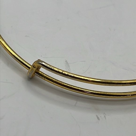 🐿️ 5 for $20 (any jewelry w squirrel)
Alex and Ani Gold Bangle Bracelet w Charms - Picture 4 of 10